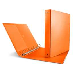Raccoglitore Nettuno 30 A4 4R arancio Sei Rota