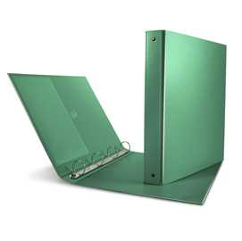 Raccoglitore Nettuno 30 A4 4R verde Sei Rota