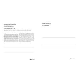 REGISTRO VERBALI ASSEMBLEA CONDOMINIO 90PAG 31X24,5CM E2529