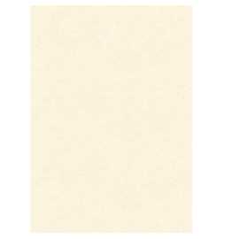 BLISTER 10 DIPLOMI PERGAMENA 210x297mm 160gr neutro avorio KARTOS