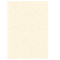 BLISTER 10 DIPLOMI PERGAMENA 210x297mm 160gr neutro avorio KARTOS