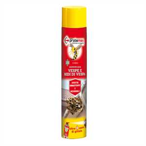 Insetticida spray vespe e nidi di vespa - 750 ml - Protemax